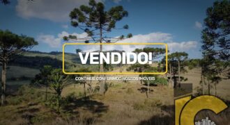 Terreno rural À VENDA em Campo Alegre – São Miguel