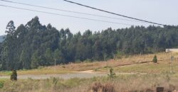 Terreno industrial À VENDA – Bairro Progresso