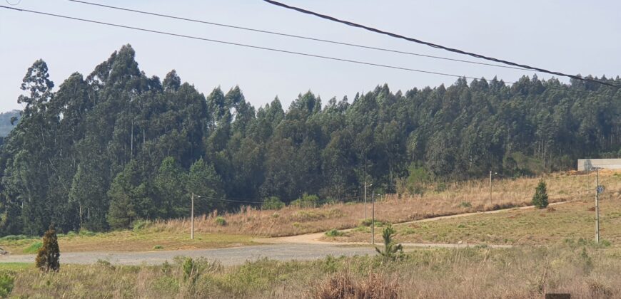 Terreno industrial À VENDA – Bairro Progresso