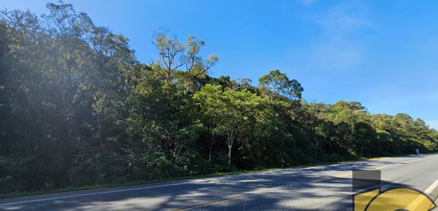 Terreno a Venda BR 280