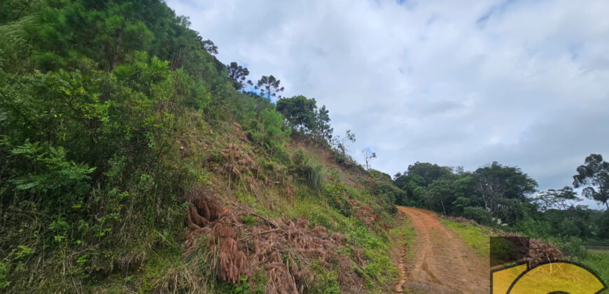 Terreno Serra Alta