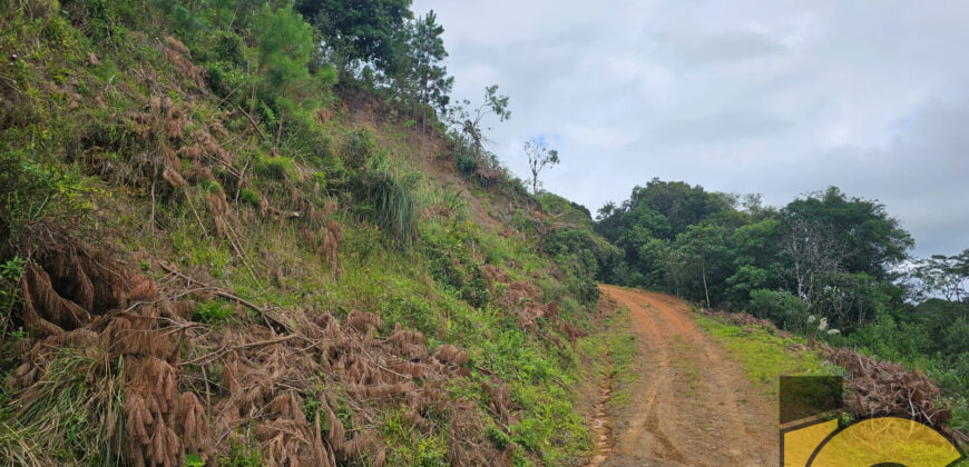 Terreno Serra Alta