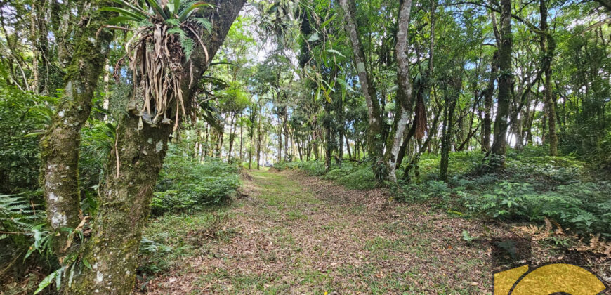 Terreno à venda na rua lateral da Avenida dos Imigrantes.