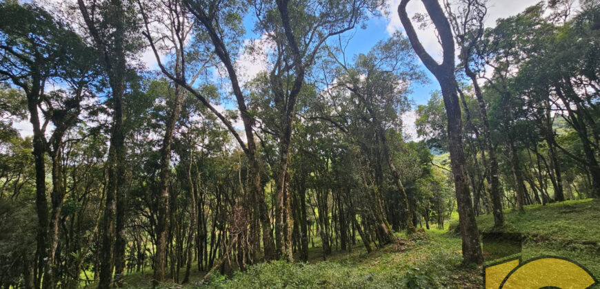 Terreno à venda na rua lateral da Avenida dos Imigrantes.