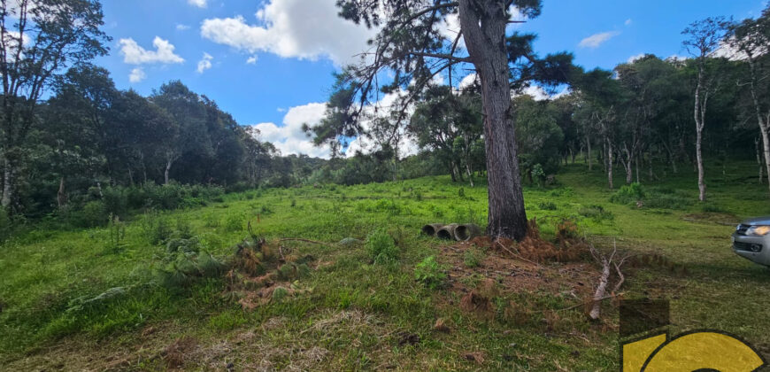 Terreno à venda na rua lateral da Avenida dos Imigrantes.