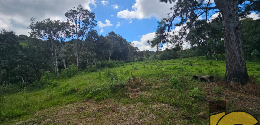 Terreno à venda na rua lateral da Avenida dos Imigrantes.