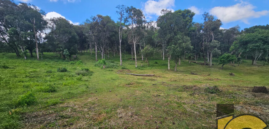 Terreno à venda na rua lateral da Avenida dos Imigrantes.