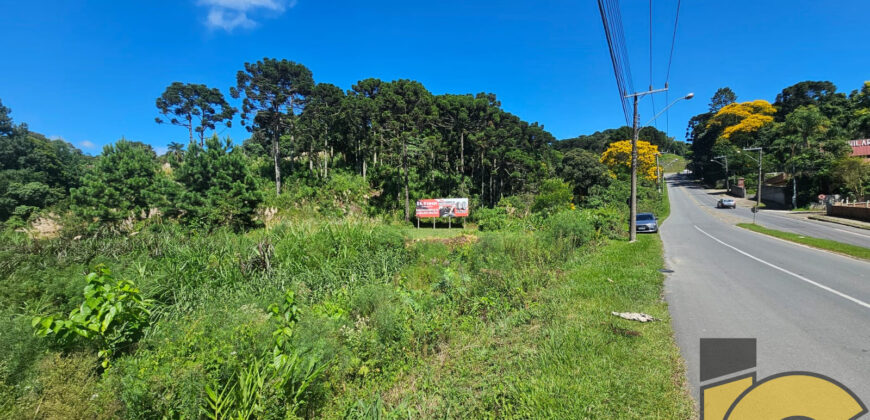 Terreno à venda próximo ao fórum.