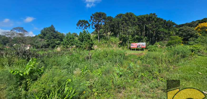 Terreno à venda próximo ao fórum.