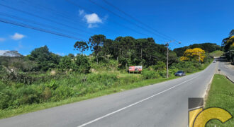 Terreno à venda próximo ao fórum.