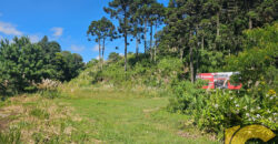 Terreno à venda próximo ao fórum.