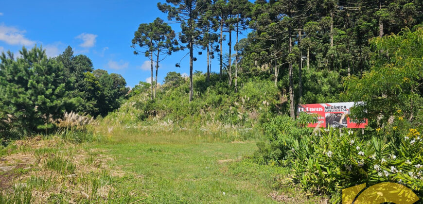 Terreno à venda próximo ao fórum.