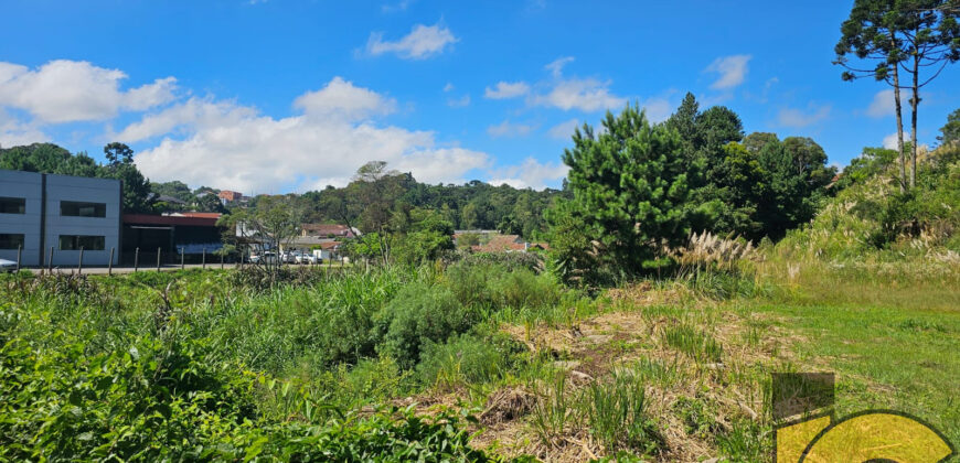 Terreno à venda próximo ao fórum.