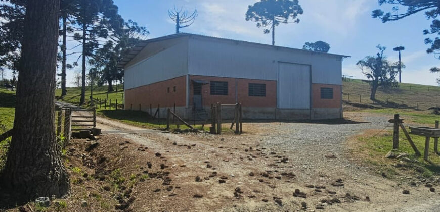 Barracão na Estrada Fundão    400m²      ICL0002